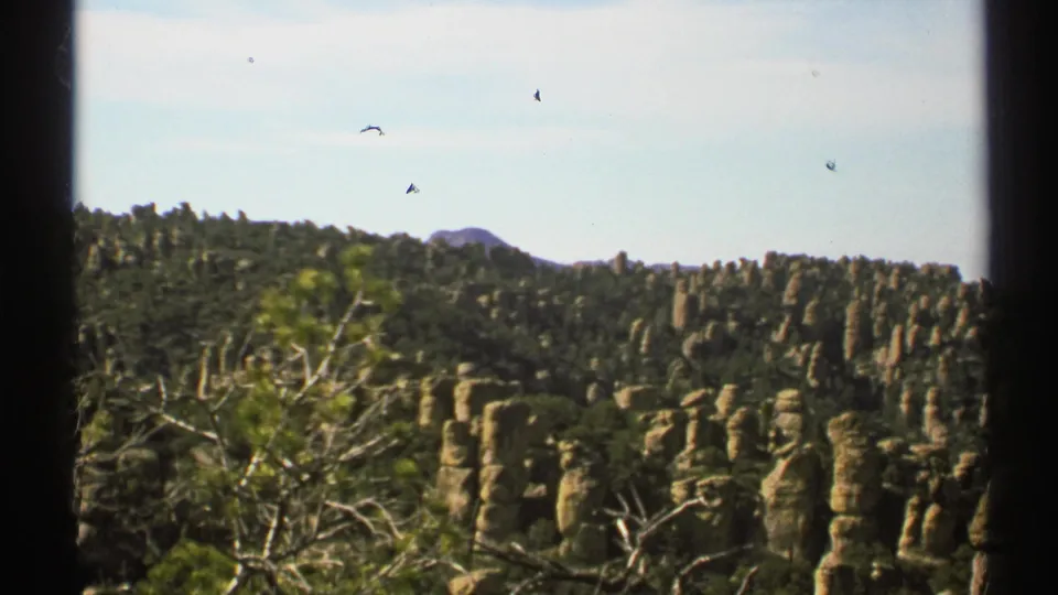 Arizona home-movie frame showing sunlit stone columns across a wooded ridge, with a pale sky and dark scan borders visible.
