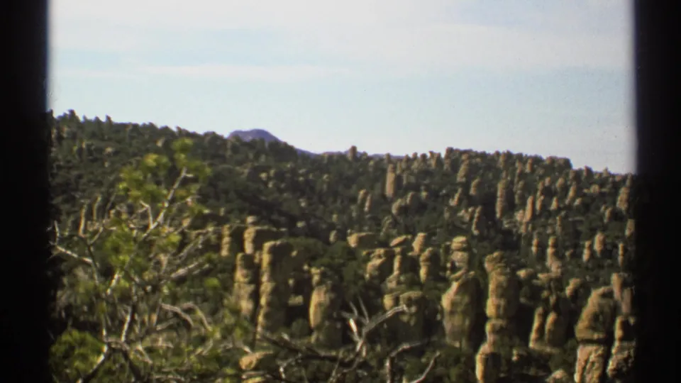 Vintage 8mm Arizona view of weathered tan rocks among dense trees, framed by branches and dark film-gate edges.