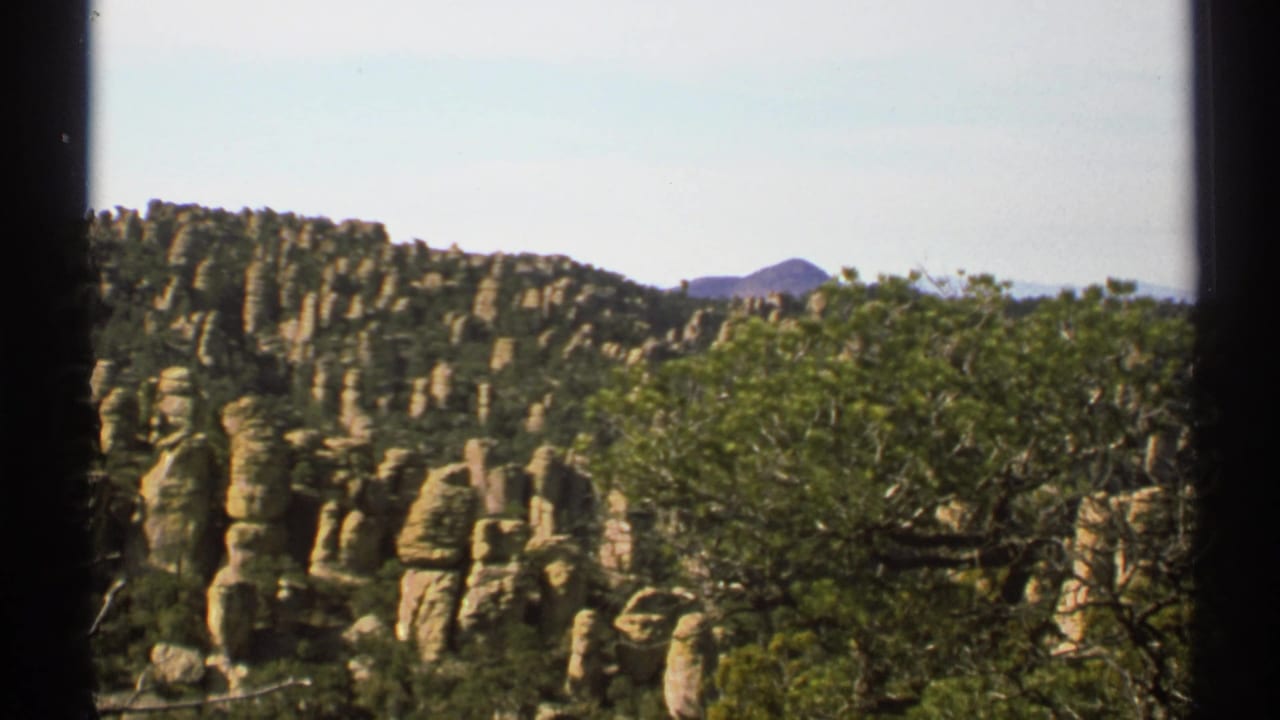 Rock columns and trees fill a sunlit hillside with distant mountains.