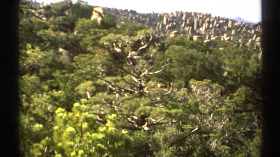 1972 Arizona 8mm frame of scrub vegetation, leafless branches, and a long ridge of tan rock formations in bright desert light.