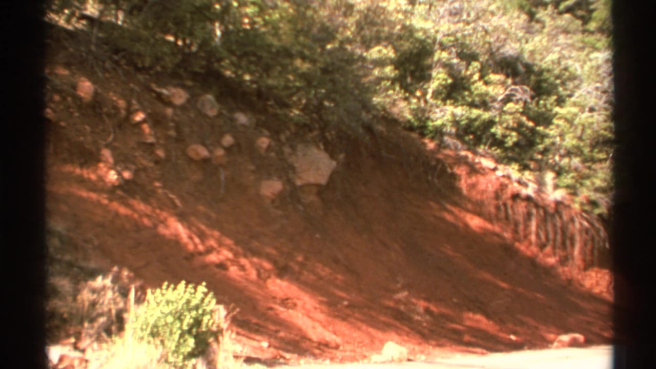 Eroded red dirt bank with vegetation above and bright sunlight below.