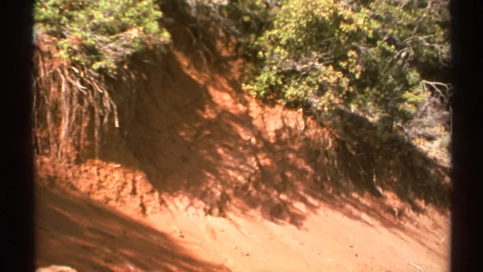 1972 Arizona frame with a closer view of the eroded embankment, exposed hanging roots, brush, and sunlit reddish soil.