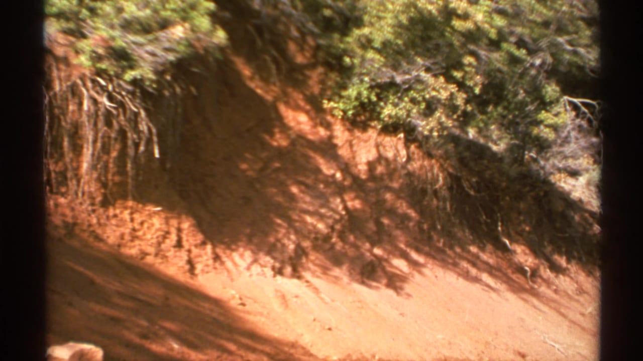 Reddish dirt embankment with exposed roots and shrubs above it.