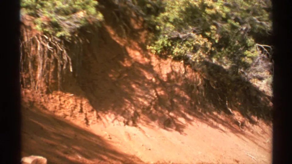 1972 Arizona 8mm frame showing a sunlit reddish dirt slope with exposed roots, dry grass, and shrubs along the top edge.