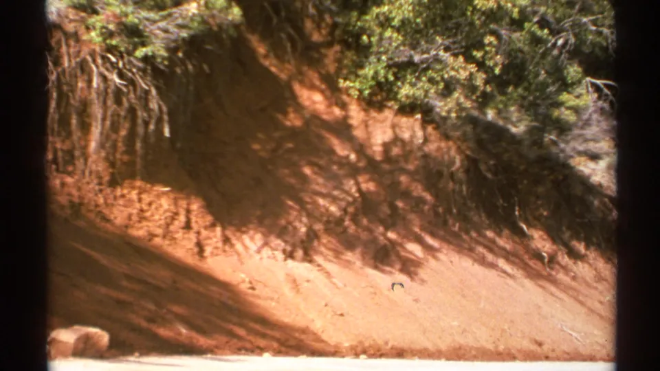 1972 Arizona 8mm view of a steep reddish embankment, showing exposed root systems, brush at the crest, and dry earth below.