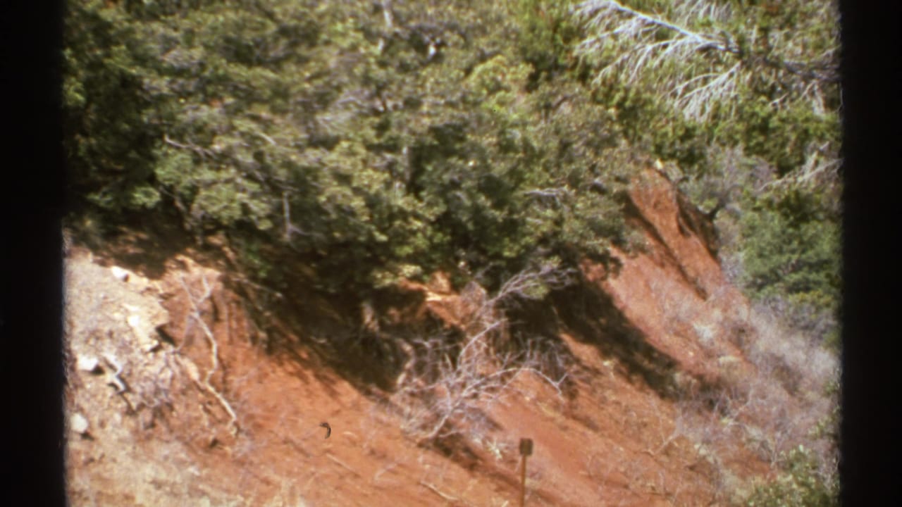 Steep red hillside with shrubs, dry branches, and a small wooden signpost.