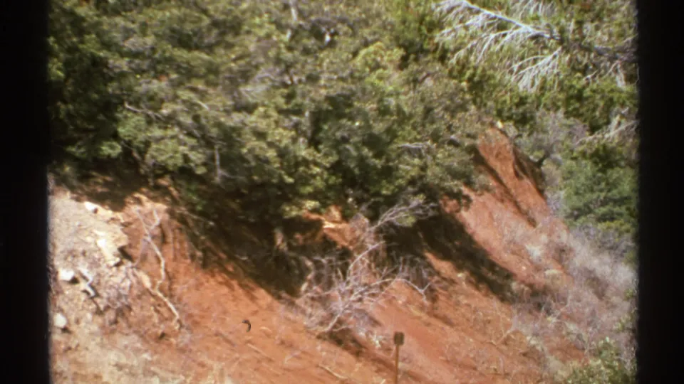 1972 Arizona 8mm view of a steep red hillside, dense shrubs, pale exposed soil, dry branches, and a small wooden signpost.