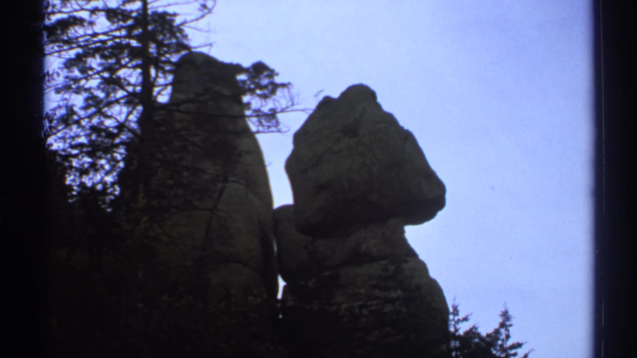 Tall rock formations silhouetted beside dark trees against a pale sky.