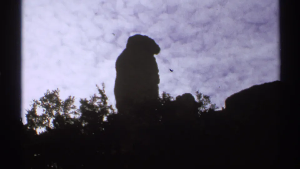 1972 Arizona frame showing a narrow stone pillar in silhouette, with trees and a textured overcast sky behind it.