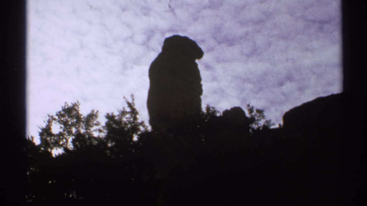 Dark rock formation silhouetted above trees against a cloudy sky.