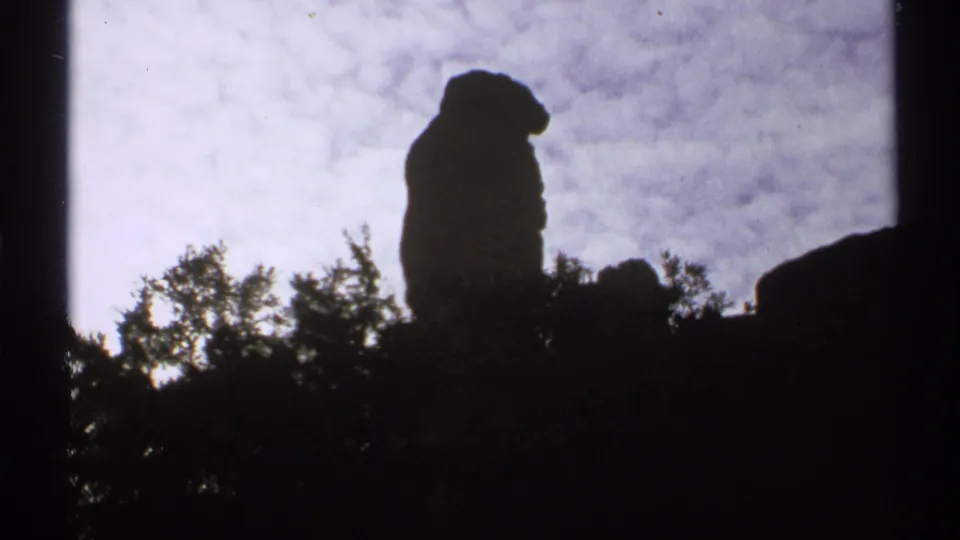 A silhouetted Arizona rock spire stands above low trees, with the cloudy sky filling most of the 8mm frame.