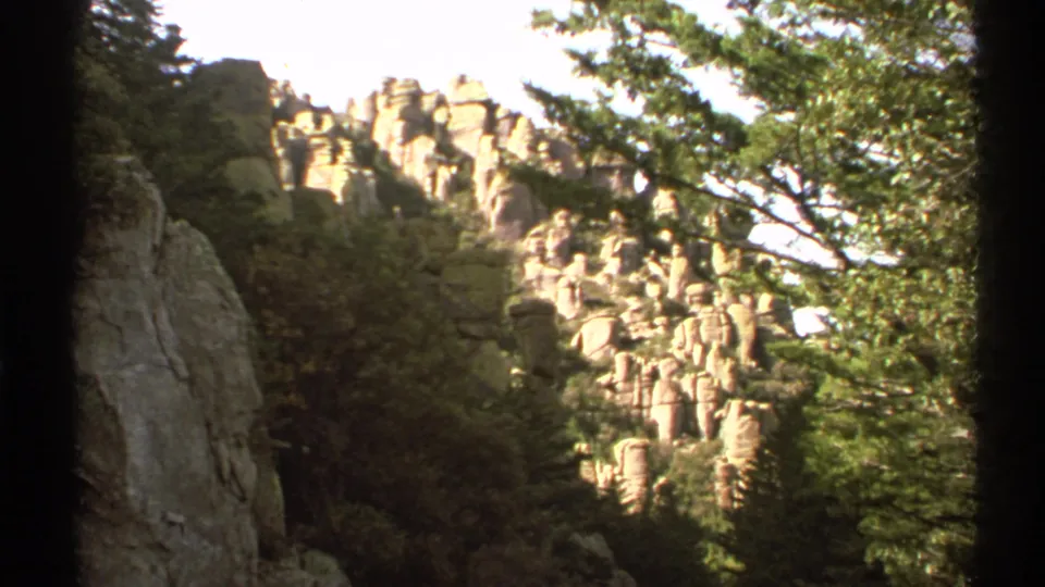 1972 Arizona 8mm view of pale rock formations on a forested hillside with branches crossing the frame.