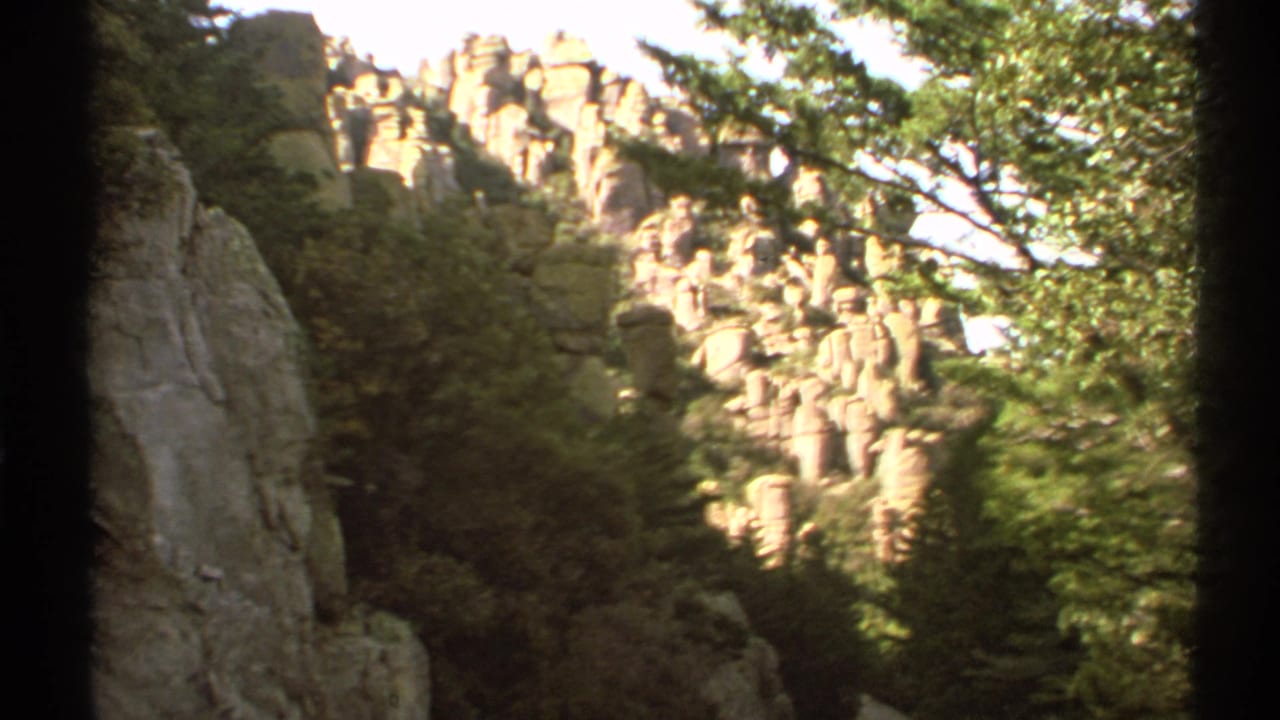 Rocky mountain slope with trees and a dark central film divider.