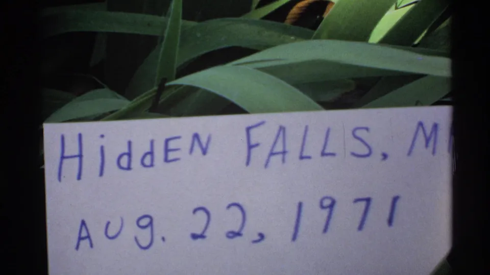 A close 8mm view shows the handwritten Hidden Falls, Minnesota card dated Aug. 22, 1972 over broad green leaves.