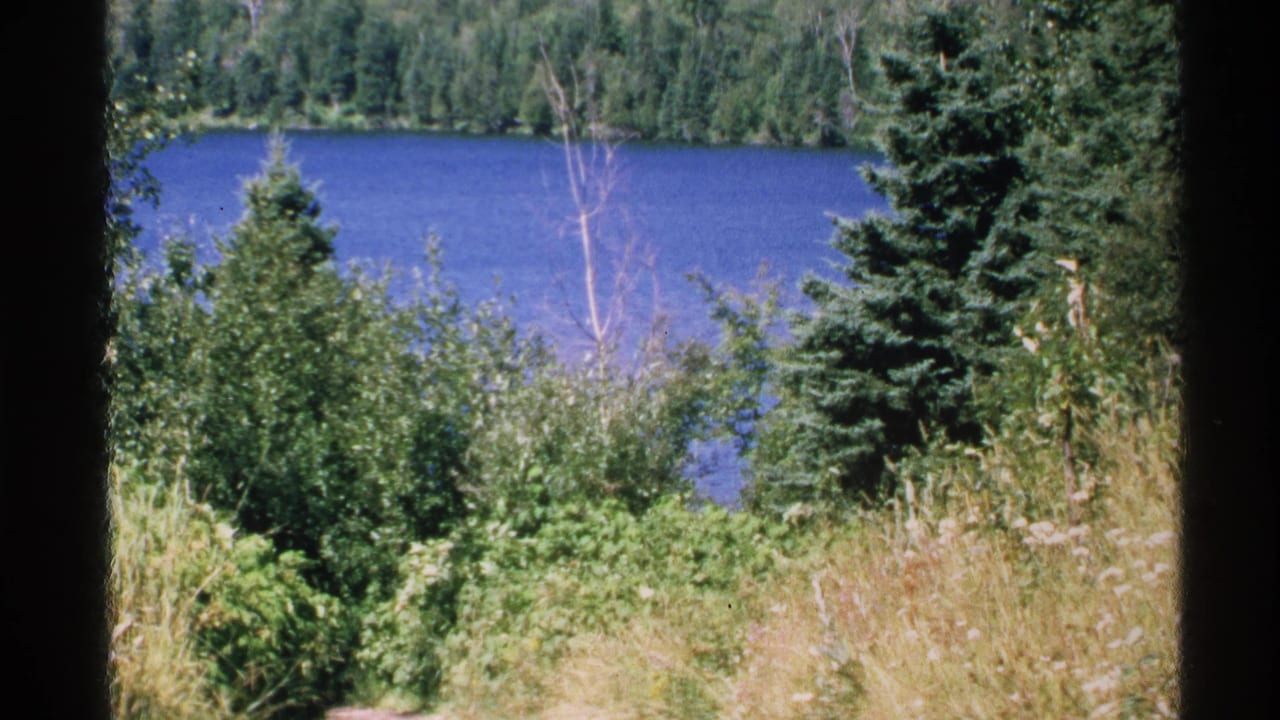 1972 Isle Royale 8mm frame looking through shaded trees and brush toward a blue lake and forested far shore.