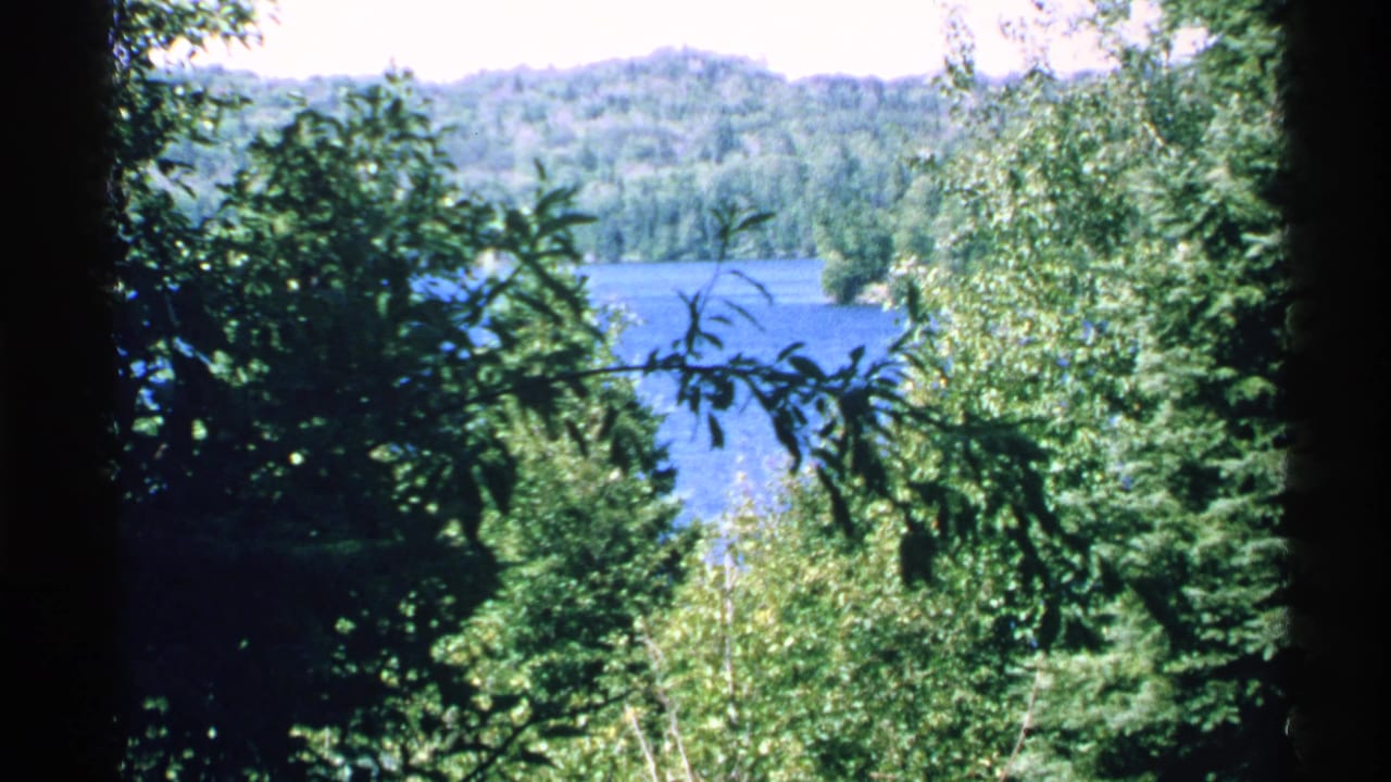 Blue lake and wooded hills framed by dark foreground trees.