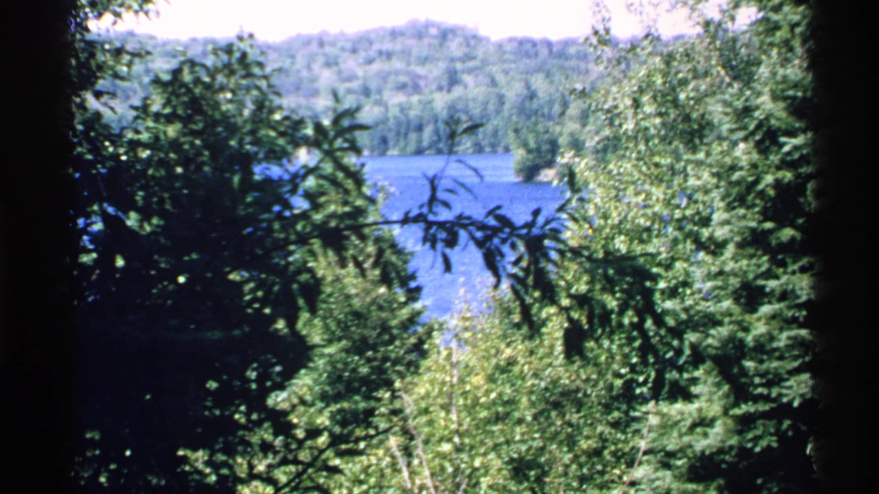 Wooded lake view with branches crossing the foreground.