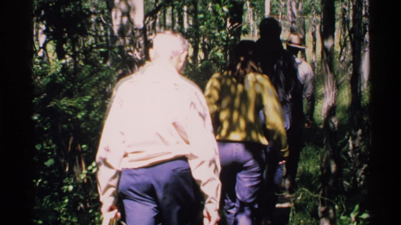 Visitors walk away from the camera on a narrow wooded trail.