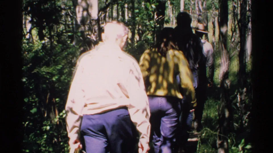 Visitors follow a shaded forest path on Isle Royale, seen from behind in 1972 home-movie footage.