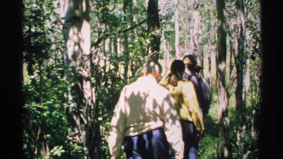 The camera follows visitors through thick Isle Royale woods, with bright sun patches and heavy 8mm grain.