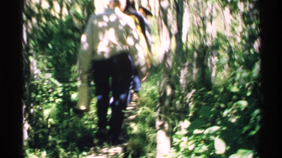 A soft, handheld 1972 Isle Royale frame shows visitors moving through bright greenery on a narrow trail.