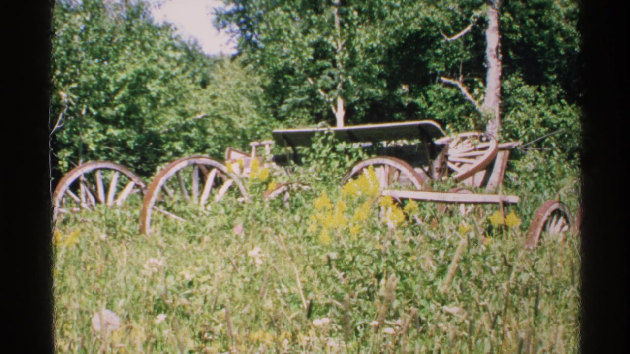 1972 Isle Royale home-movie frame showing a weathered wooden wagon in a grassy wildflower field with trees behind it.