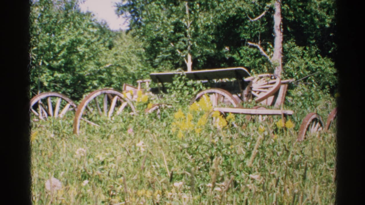 Wooden wagon partly surrounded by grass and wildflowers with trees in the background.