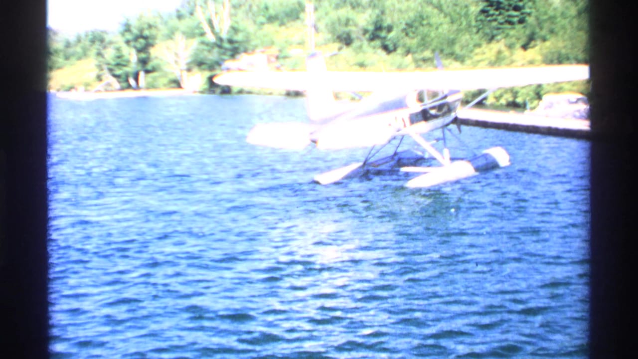 Small floatplane on blue water near a forested shore.
