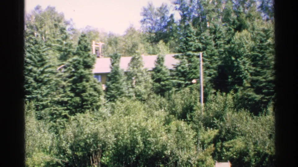 1972 Isle Royale frame showing thick green vegetation, a low building roof, utility pole, and wooded background.