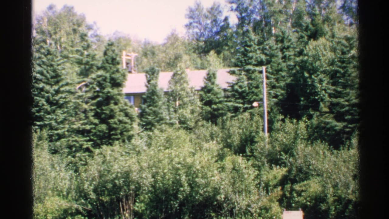 House roof partly hidden behind dense evergreen trees, seen through a dark window frame.
