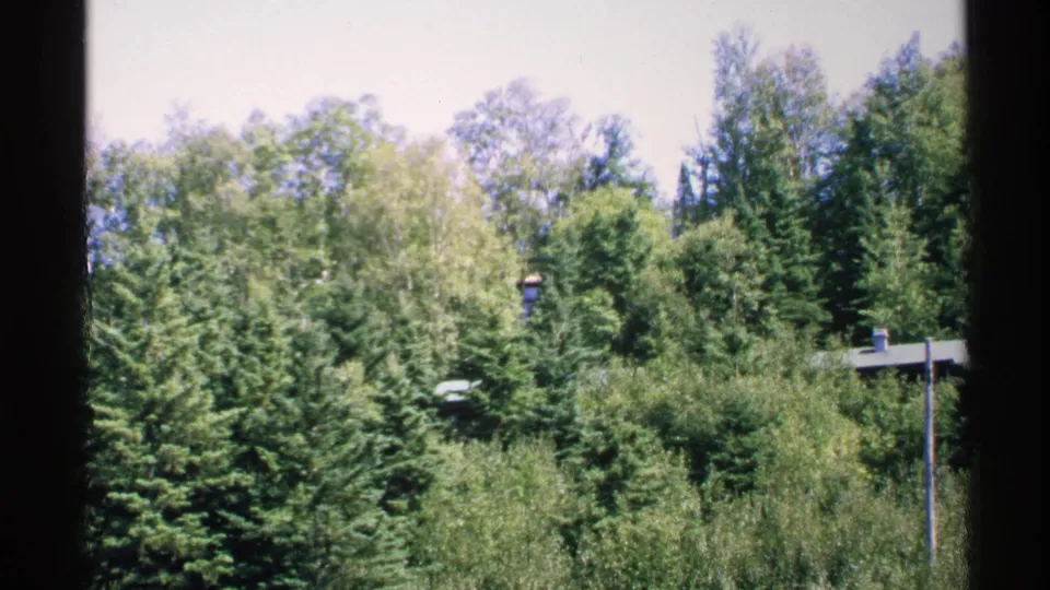 1972 Isle Royale forest scene showing layered trees, a small roof edge, utility pole, and window framing in the foreground.