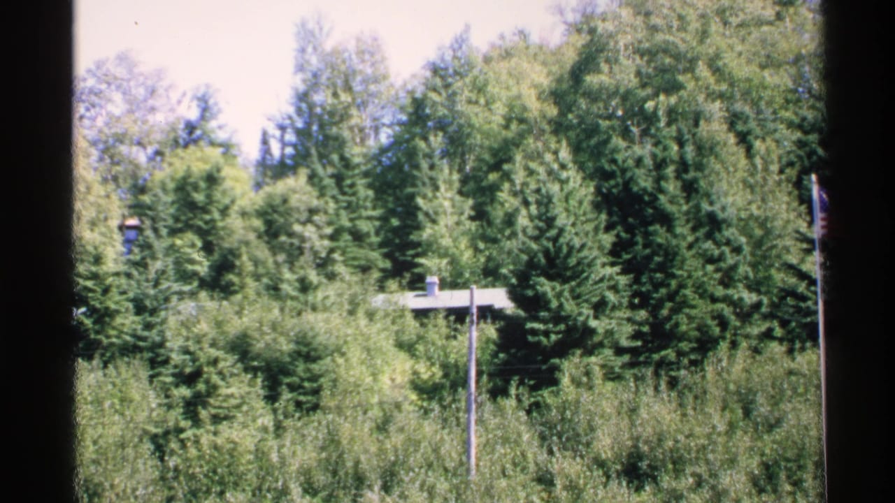 1972 Isle Royale home-movie frame with sunlit evergreens, leafy trees, a partially visible roof, and a vertical pole.
