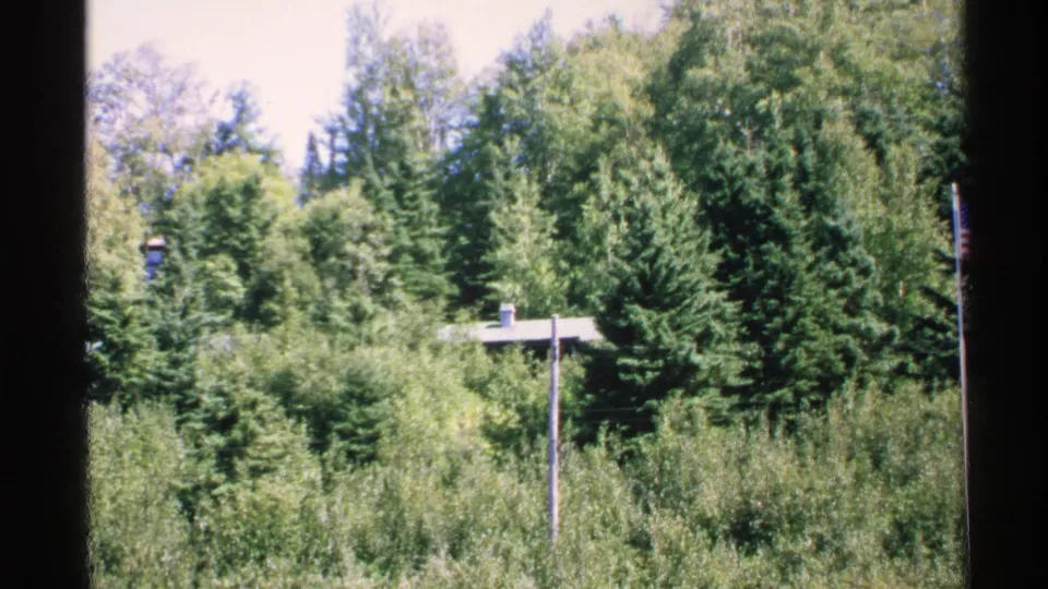1972 Isle Royale 8mm frame showing dense woodland, a partly visible low building, pole, and an American flag near the right edge.