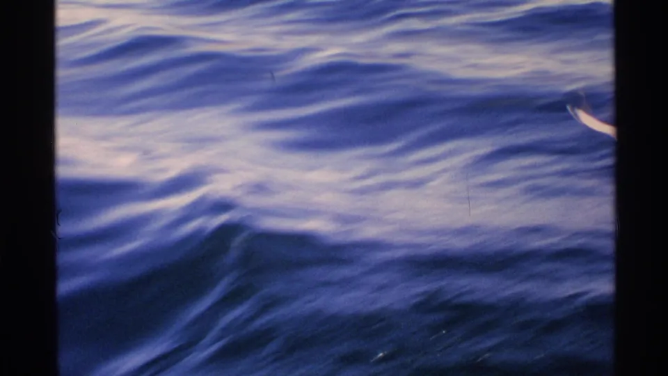 1972 Isle Royale 8mm frame showing blue rippled water and a small pale gull shape near the top of the frame.