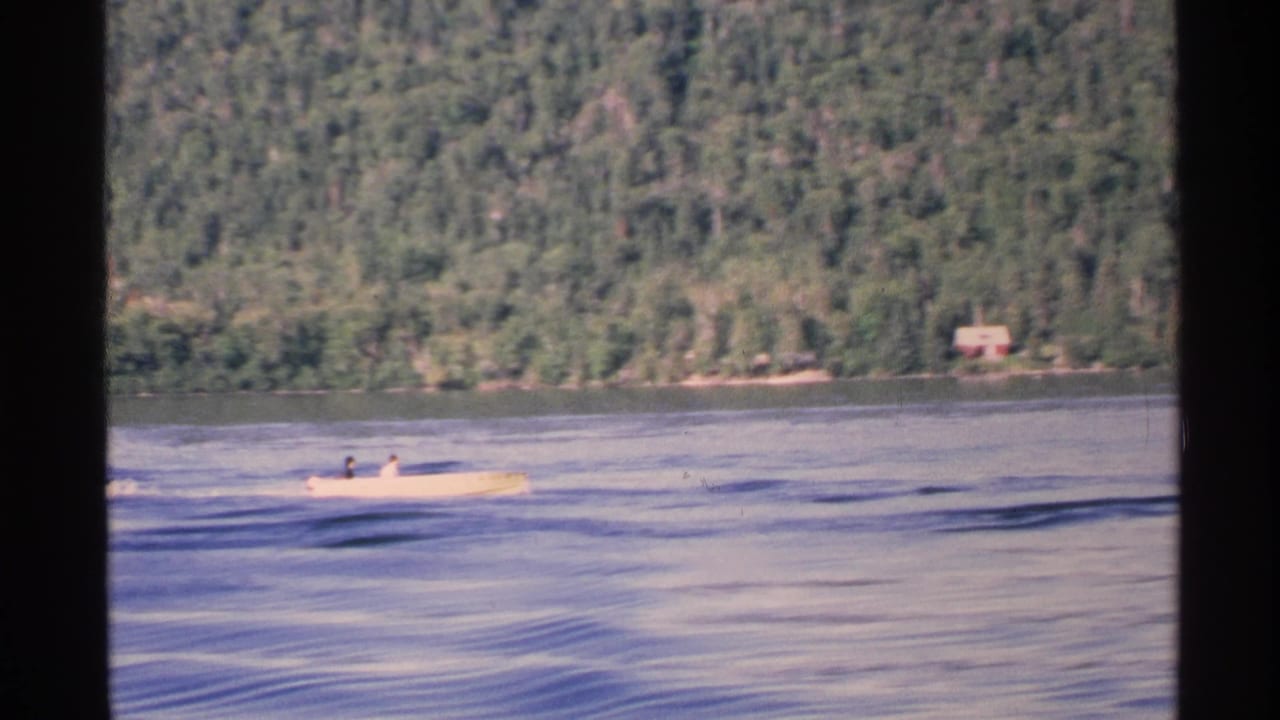 A yellow speed boat travels on open water near a forested shore.