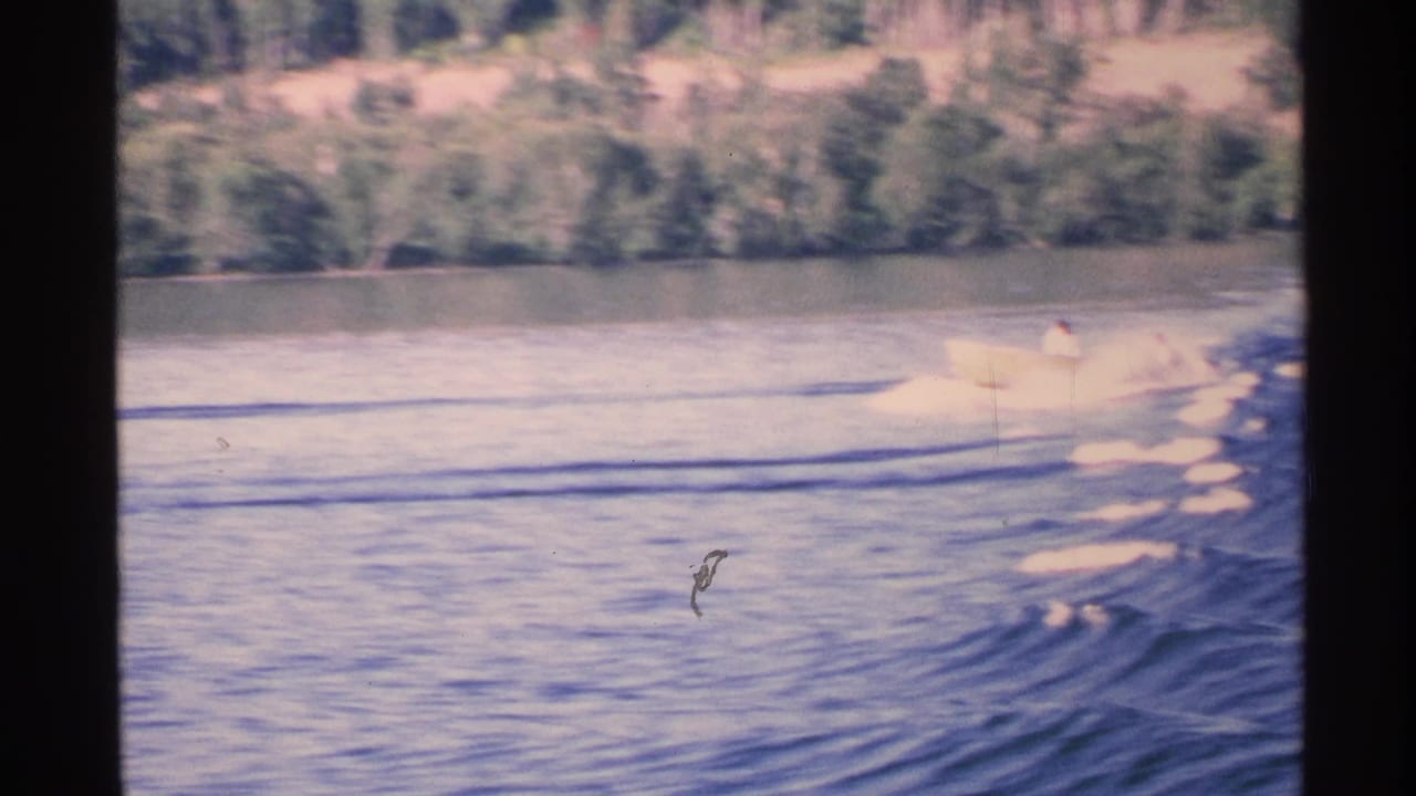 Small motorboat crossing a rippled lake near a wooded shoreline.
