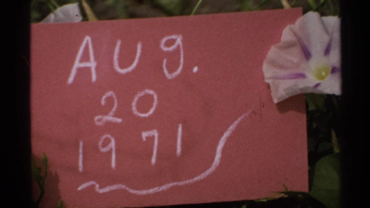 A red paper date card reading Aug. 20, 1971 appears beside a pale flower in this 8mm Isle Royale home-movie frame.