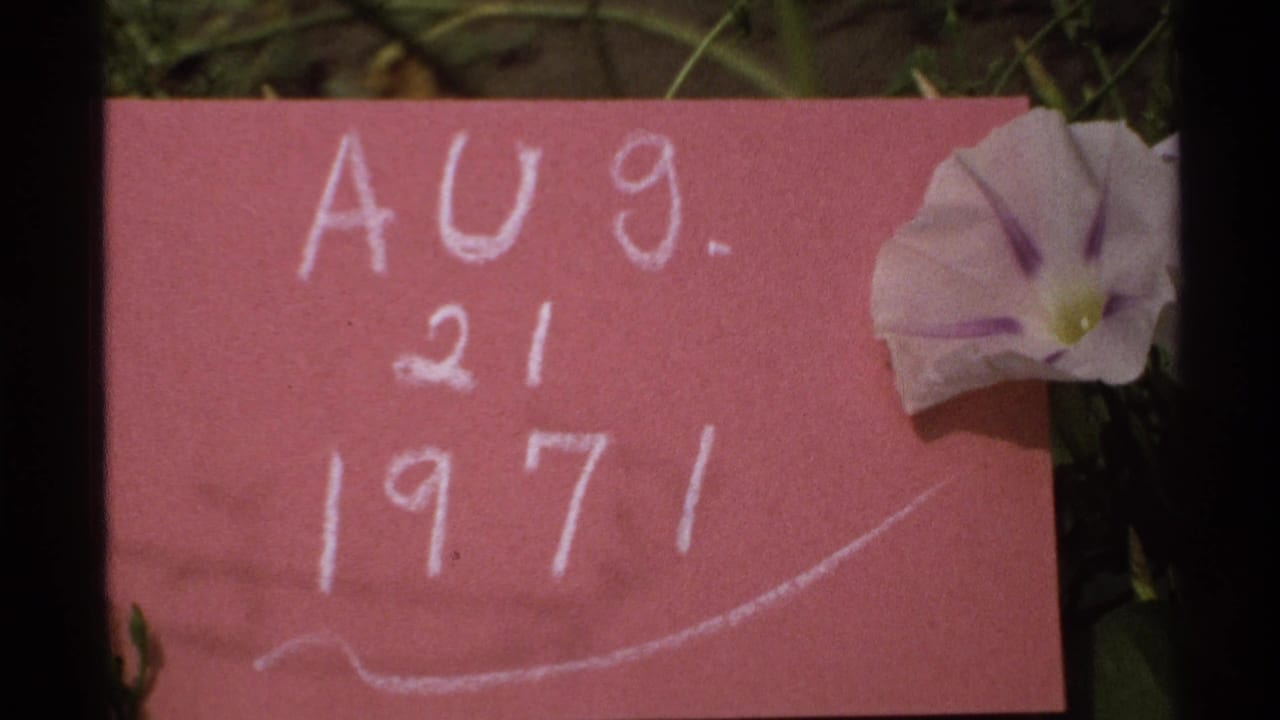 Pink card with white chalk date beside a pale flower in grass.