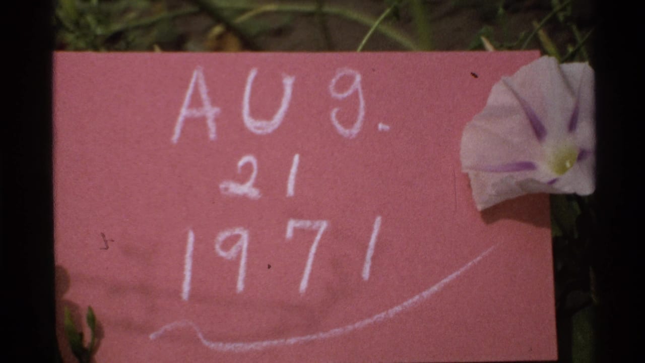 The dated pink card fills the frame, with white chalk lettering and a pale flower visible at the upper right edge.