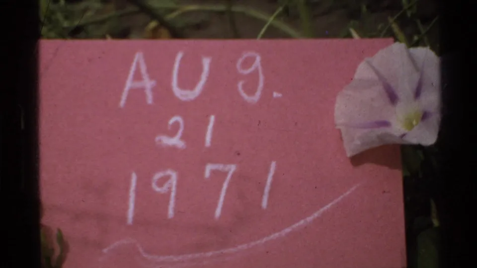 The home-movie frame holds on the Aug. 21 1971 card, with grass and a pale flower along the right side.
