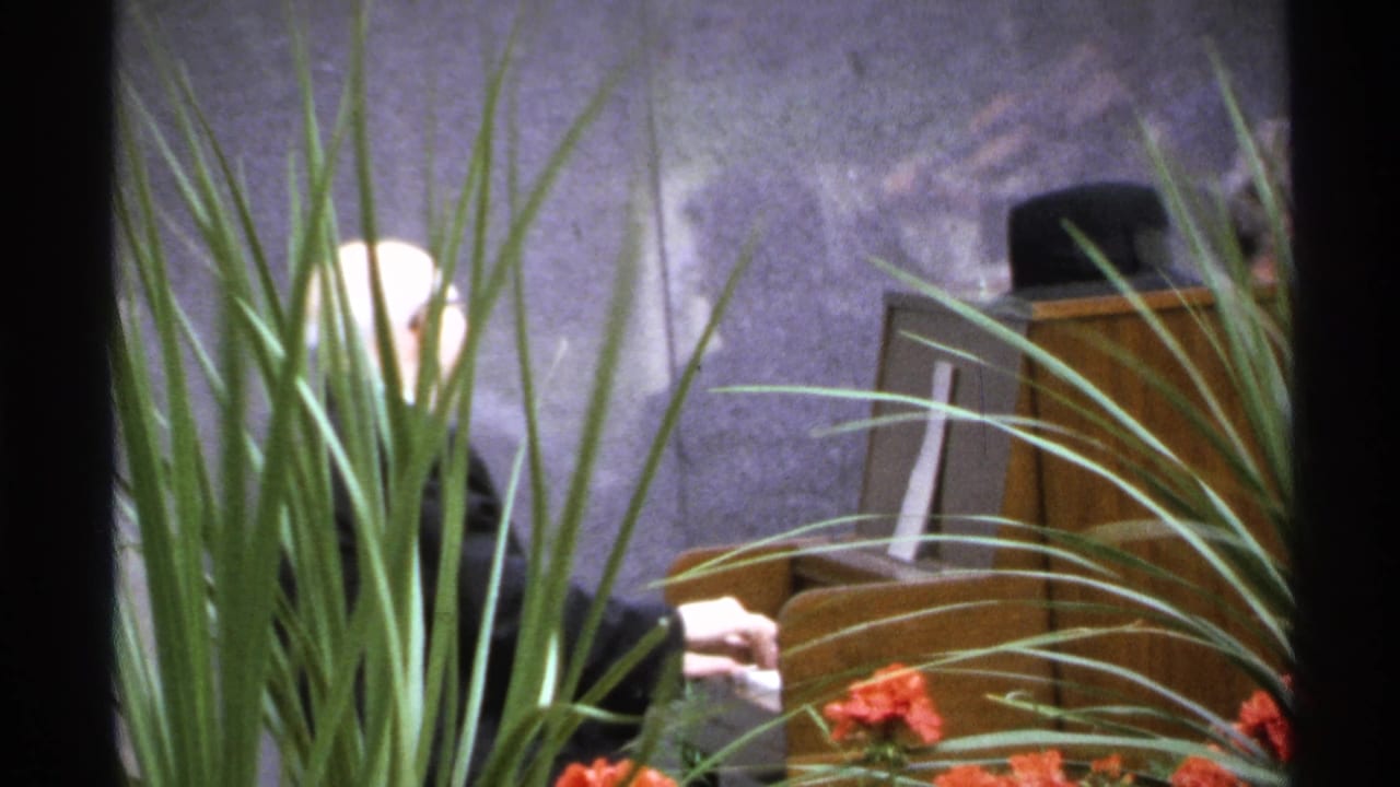 Man in a dark suit plays piano behind tall grass and red flowers outdoors.