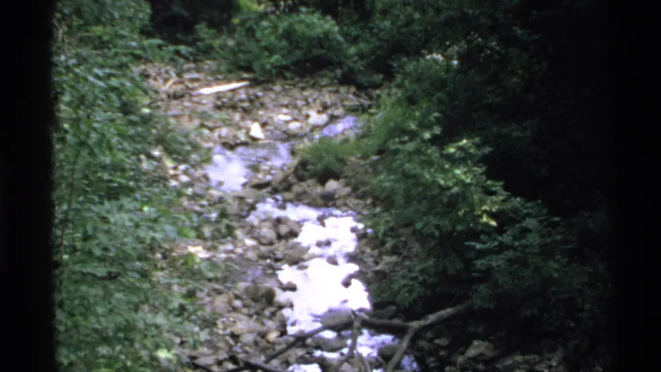 1972 Isle Royale 8mm view of a narrow rocky creek winding through dense green foliage and shaded branches.