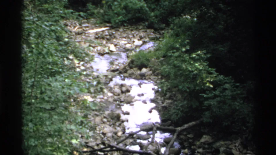 A rocky stream runs through dense forest vegetation in 1972 Isle Royale home-movie footage.