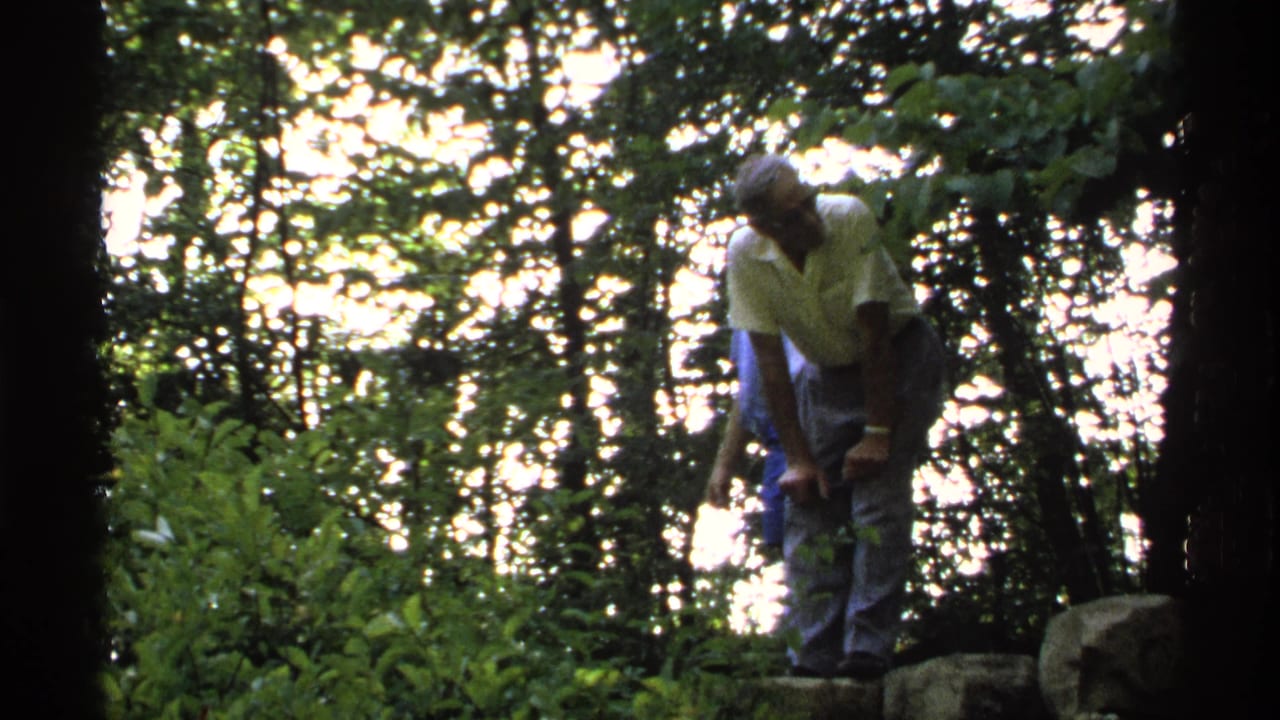 Two people standing on rocks in a backlit forest setting.
