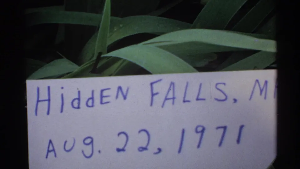 Close-up of the Hidden Falls handwritten sign and date with broad leaves behind it in 8mm home-movie footage.