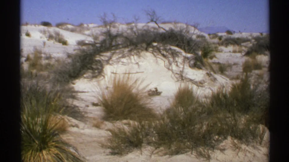 1972 New Mexico 8mm frame with dune vegetation, dry grasses, and low shrubs across a white sand landscape.