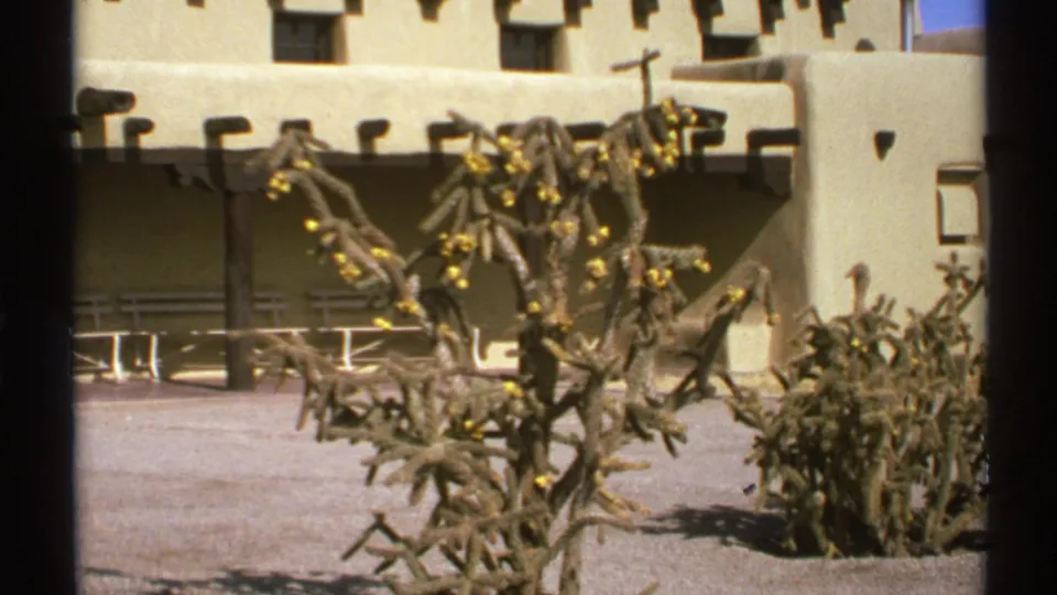 1972 New Mexico 8mm frame showing a cholla cactus with yellow blossoms before an adobe-style courtyard building.
