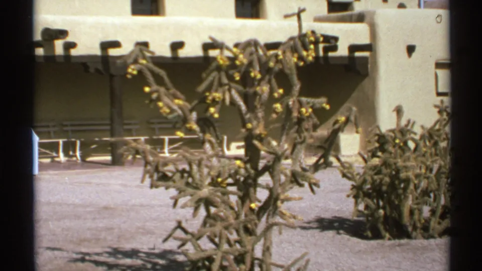 1972 New Mexico 8mm frame showing a spiny cholla cactus with yellow blooms in a sunlit adobe-style courtyard.