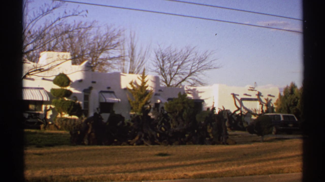White building, shaped shrubs, cactus-like landscaping, lawn, overhead wires, and a parked station wagon.