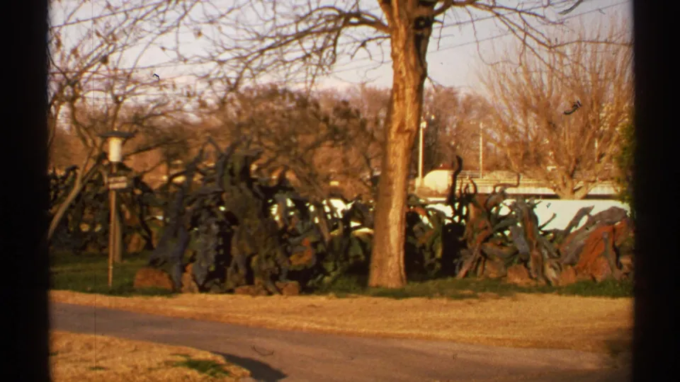 1972 New Mexico home-movie frame showing salvaged or sculptural metal objects beside a road, with a tree trunk, bare branches, and pale fence or wall.